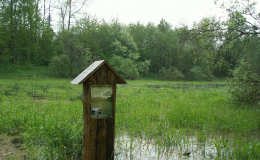 18_Jomantu misko ažintinis takas (4).jpg